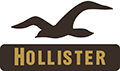 Hollister Co. logo